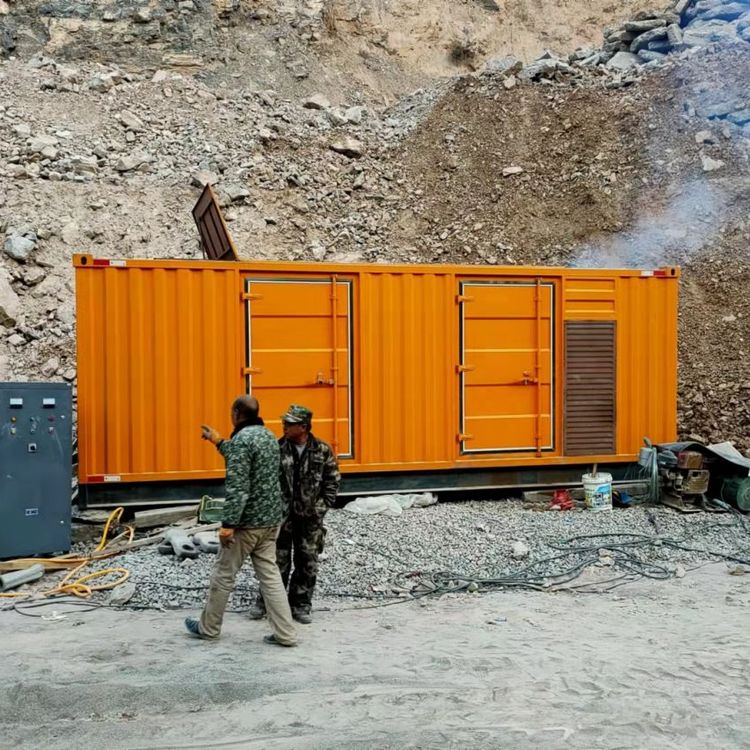 维西如何选择适合自己的 800KW 柴油发电机组？